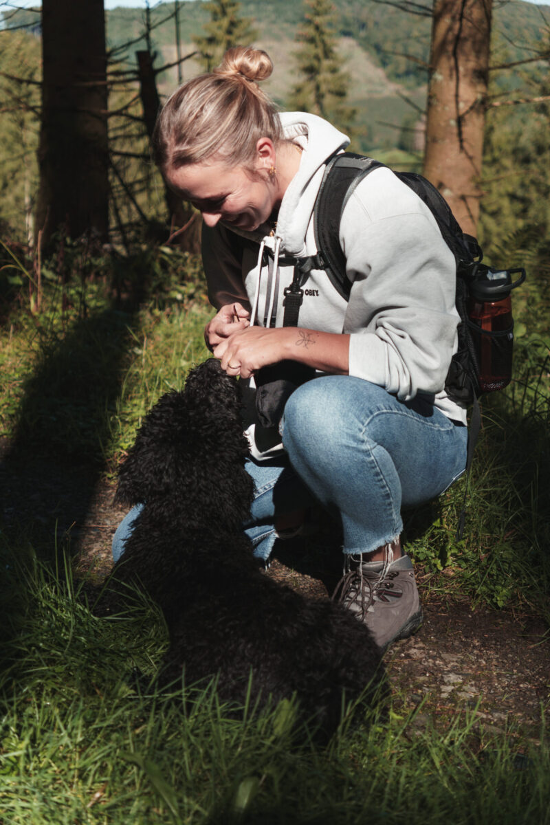 Boswandeling met Spaanse waterhond